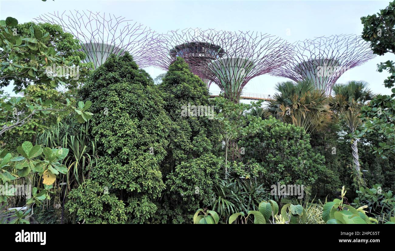 Singapur schöne Landschaften Stockfoto