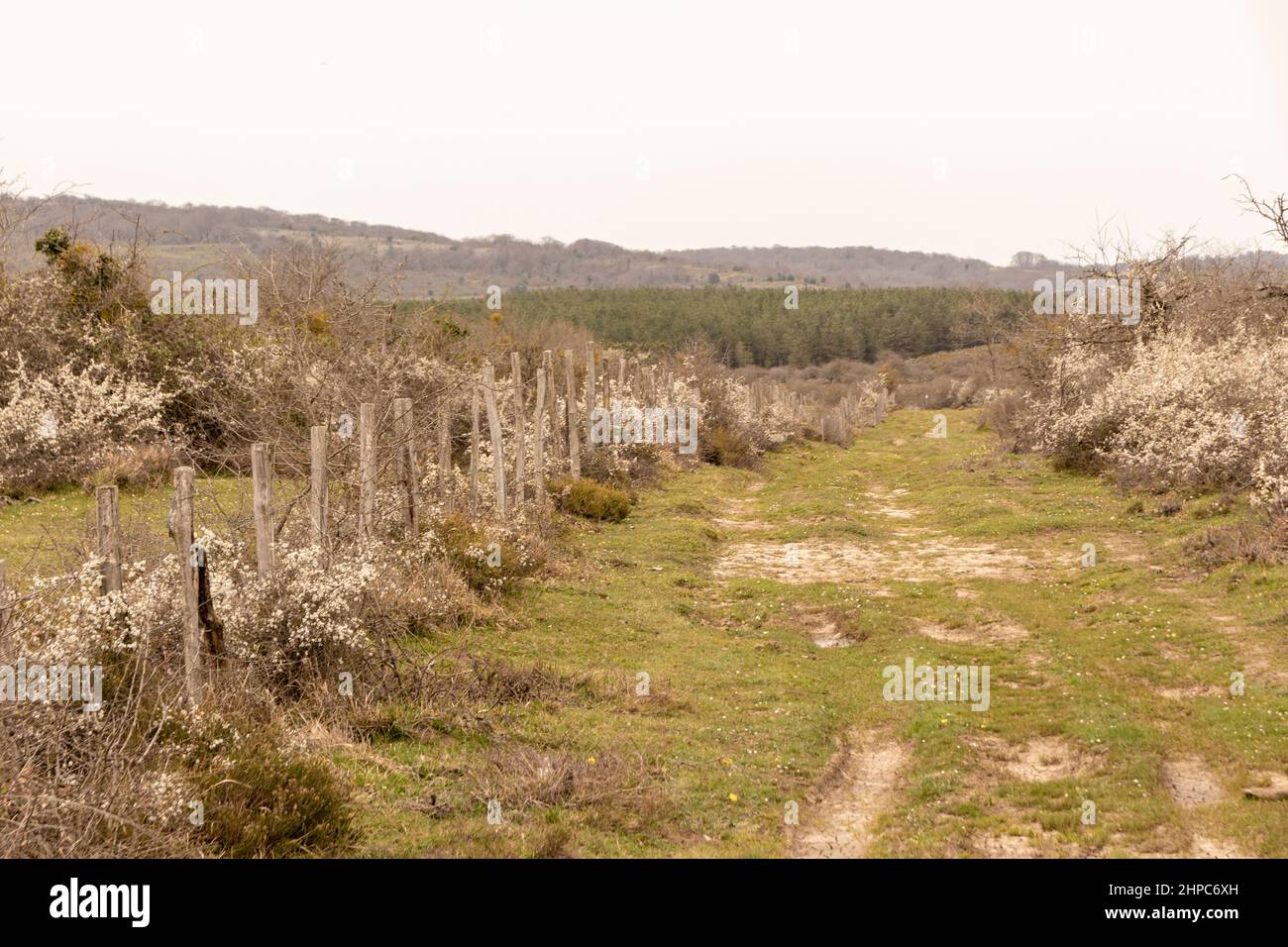 Rustikaler Zaun im Kuartango-Tal in nordspanien Stockfoto