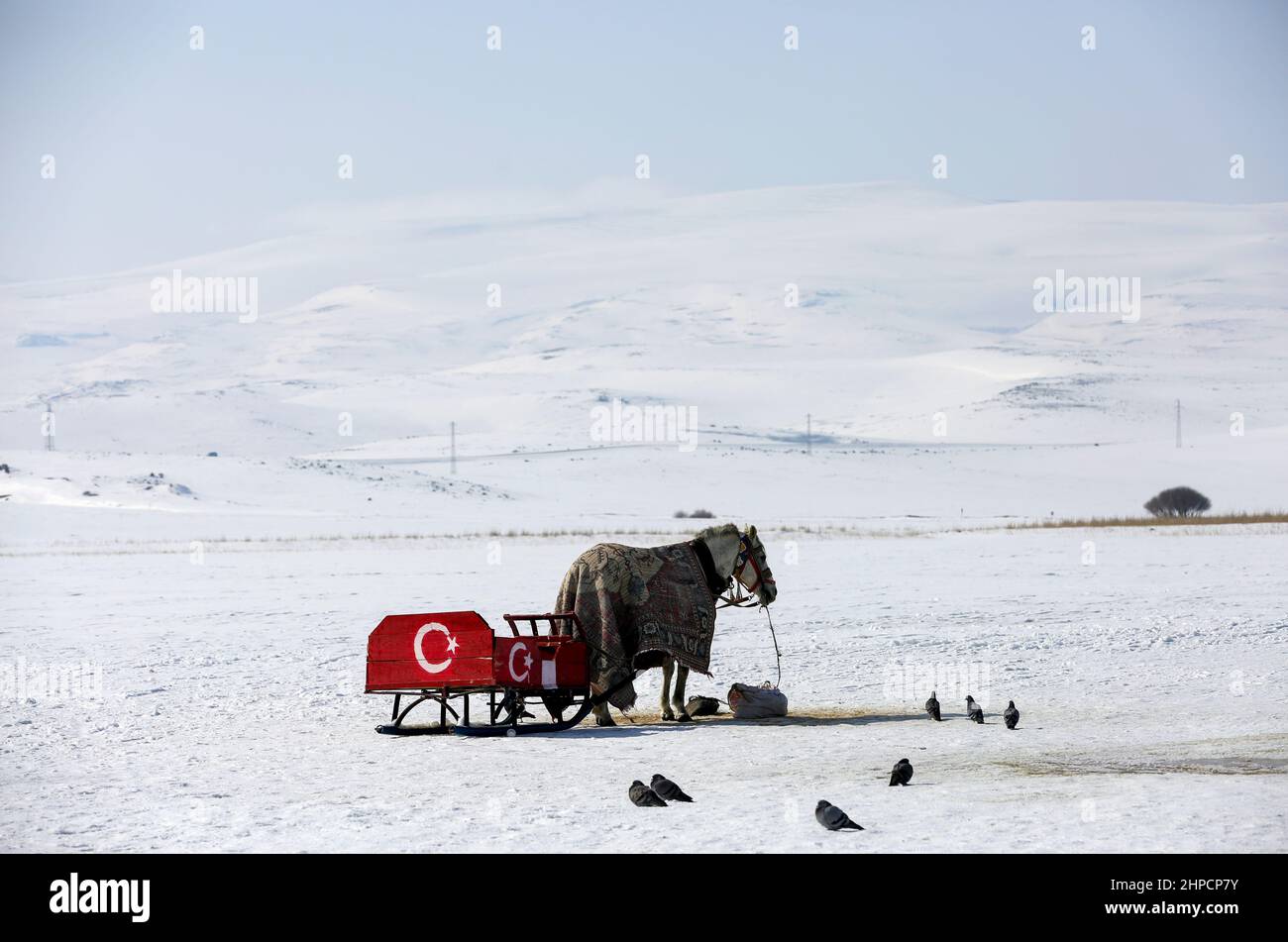 Kars, Istanbul, Türkei. 19th. Februar 2022. Der Cildir-See im Nordosten der Türkei zieht das ganze Jahr über und vor allem im Winter Touristen an.der Cildir-See liegt zwischen den türkischen Provinzen Kars und Ardahan in der Region Ostanatolien und ist ein beliebter Ort für den Wintertourismus in der Türkei sowohl für einheimische als auch für ausländische Touristen. Von Pferden gezogene Schlitten reiten Touristen über den zugefrorenen See. Andere Touristen schwelgen beim Eisfischen. (Bild: © Serkan Senturk/ZUMA Press Wire) Stockfoto