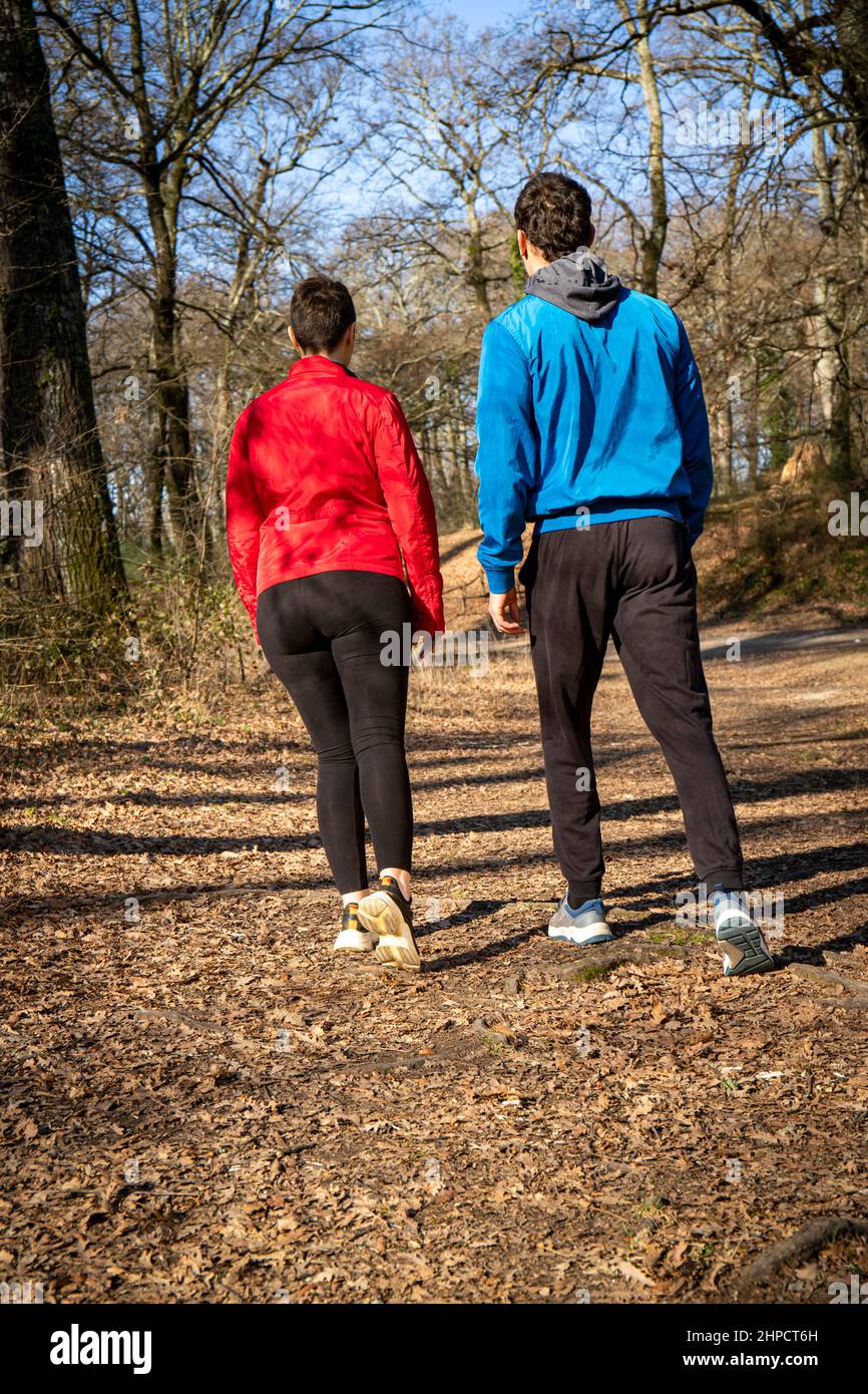 Schönes junges Paar ist Wandern im Wald. Das Paar wird von hinten gesehen, während es zwischen den Bäumen geht. Reise- und Naturkonzept. Stockfoto