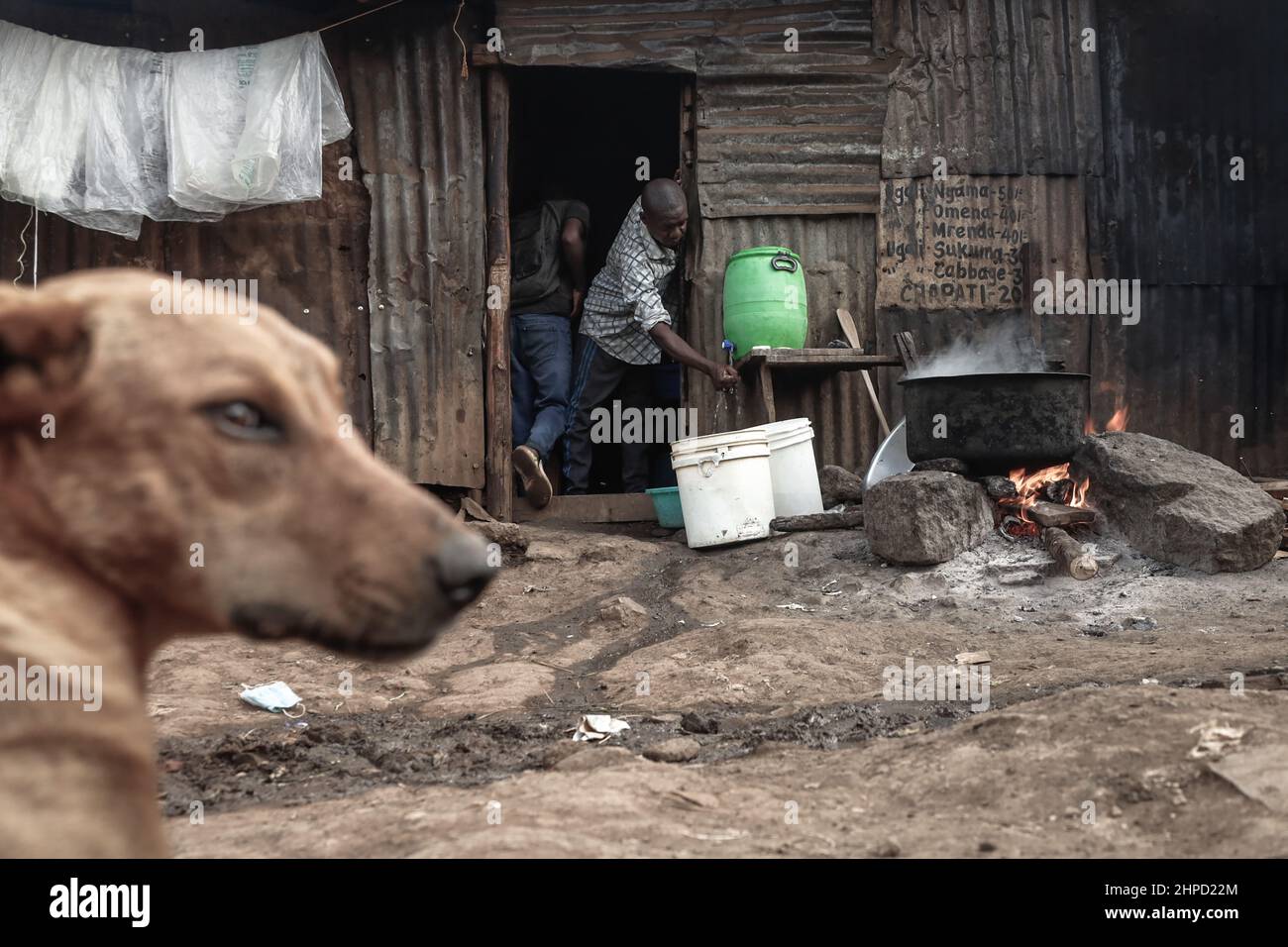 Ein streunender Hund wartet vor einem lokalen Restaurant in den Slums von Kibera in Nairobi. Im Kibera Slum, dem berüchtigten Zuhause, in dem das Leben immer schwierig zu sein scheint Stockfoto