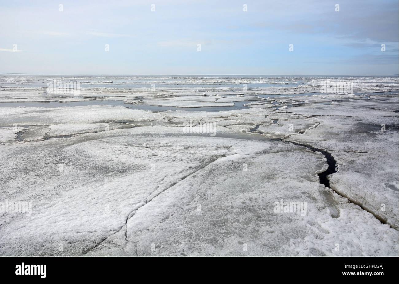 Die gefrorene Küste des Finnischen Meerbusens mit einer bizarren Form von Eis. Zelenogorsk, Russland, Frühjahrssaison, Eisbrechung Stockfoto