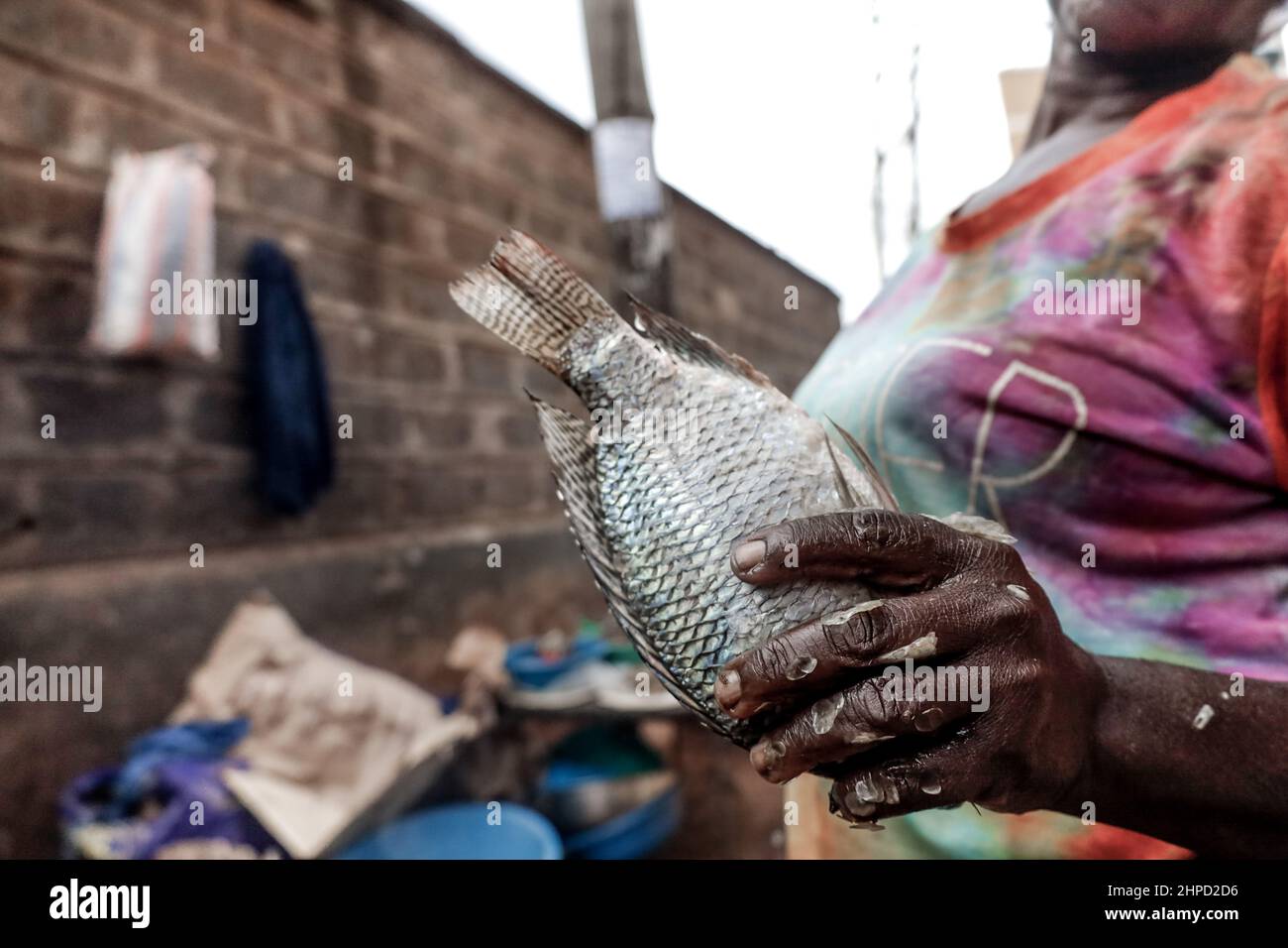 Eine Frau bereitet in den Slums von Kibera Fisch für den Verkauf vor. In Kibera Slum, dem berüchtigten Zuhause, wo das Leben immer schwierig und Cha zu sein scheint Stockfoto