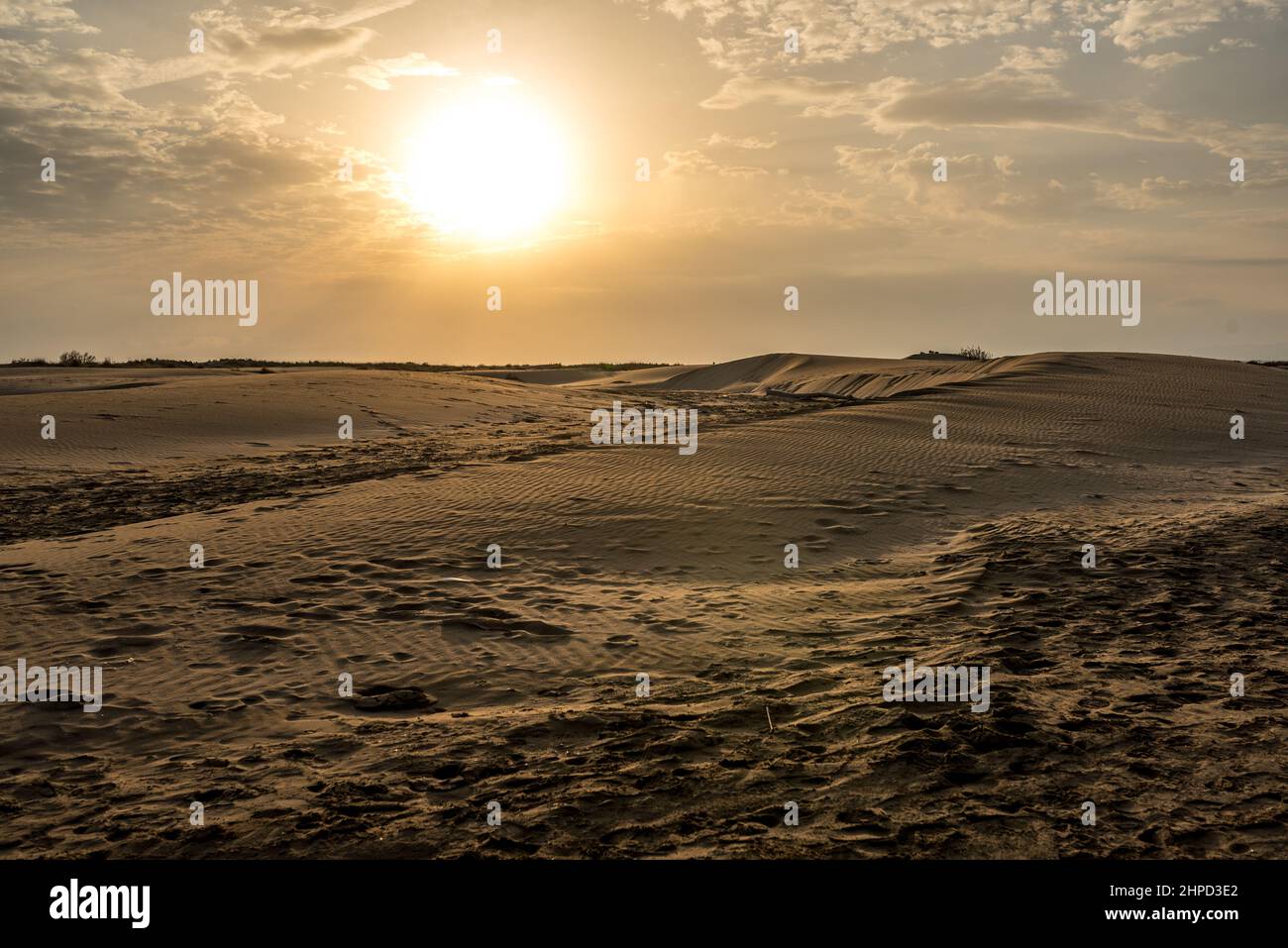 Dünen eines Strandes im Ebro-Delta bei Sonnenuntergang. Wüste und Sand. Stockfoto