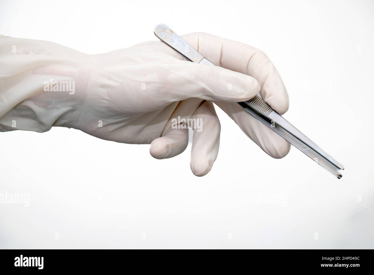 Zeps in Arzthand mit Einweghandschuh auf weißem Hintergrund. Der Arzt hält eine metallische, silberne, stählerne chirurgische Zange. Medizinische Geräte von Stainl Stockfoto