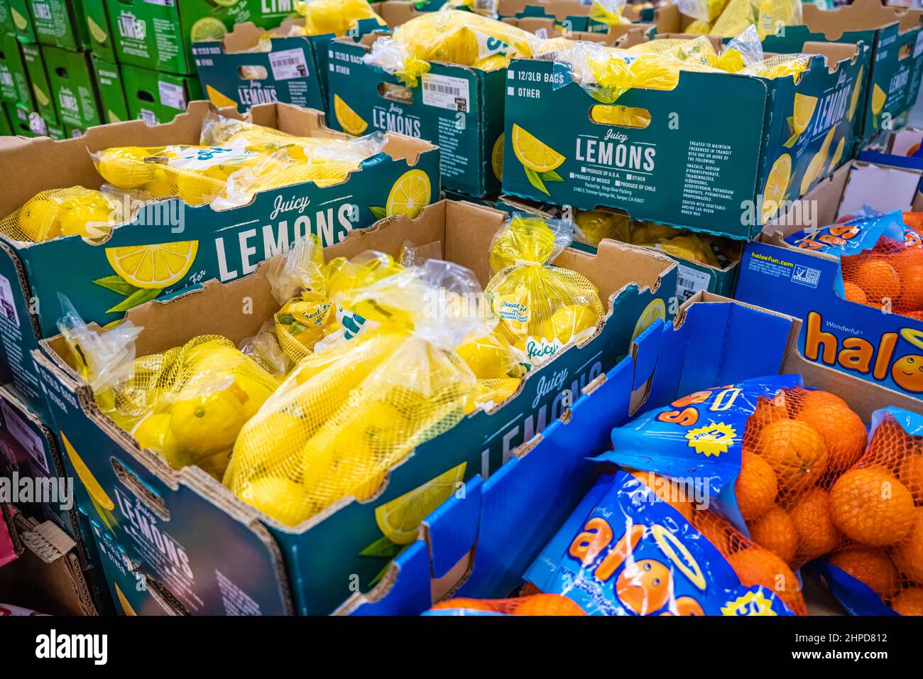 Kartons mit farbenfrohen frischen Zitrusfrüchten im Lagerhaus Sam's Club in Snellville, Georgia. (USA) Stockfoto