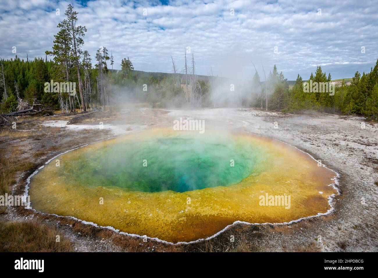 Morning Glory Pool im Yellowstone National Park. Stockfoto