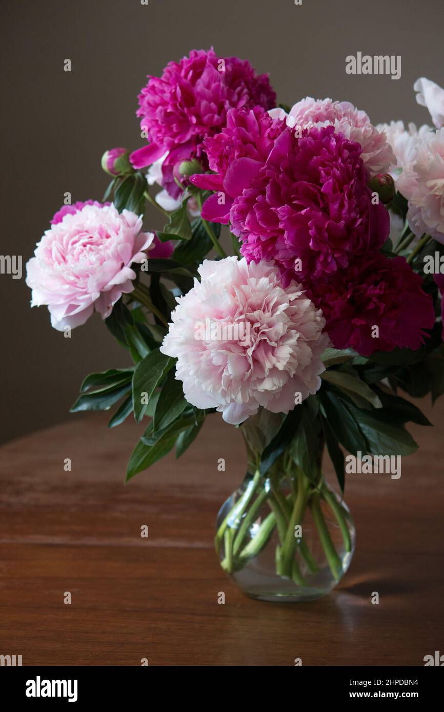 Vase mit Pfingstrosen auf dem Küchentisch Stockfoto