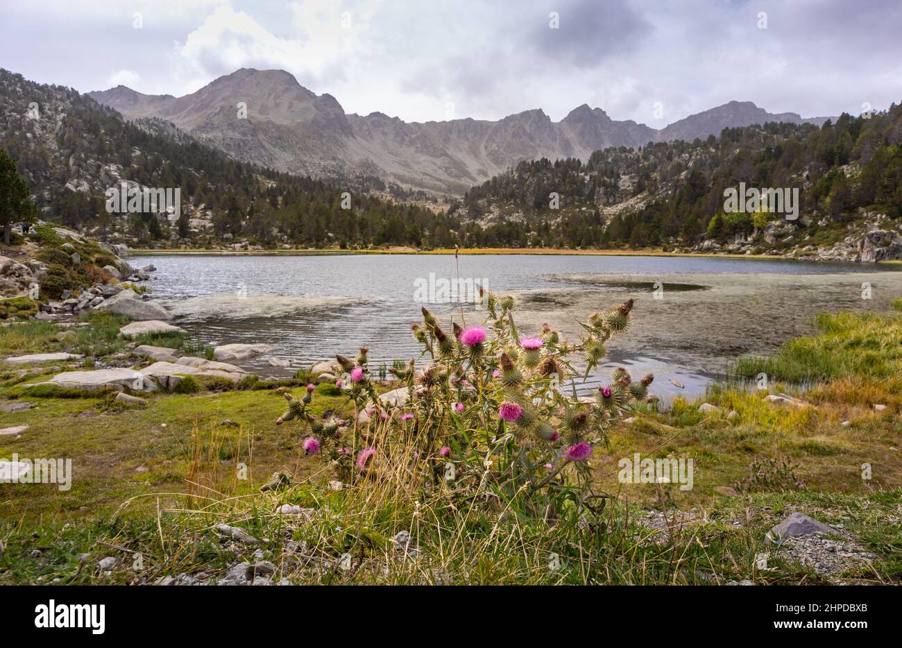 See und Berge in den Pyrenäen, Skistation im Sommer, Andorra, Estany de Pessons Stockfoto