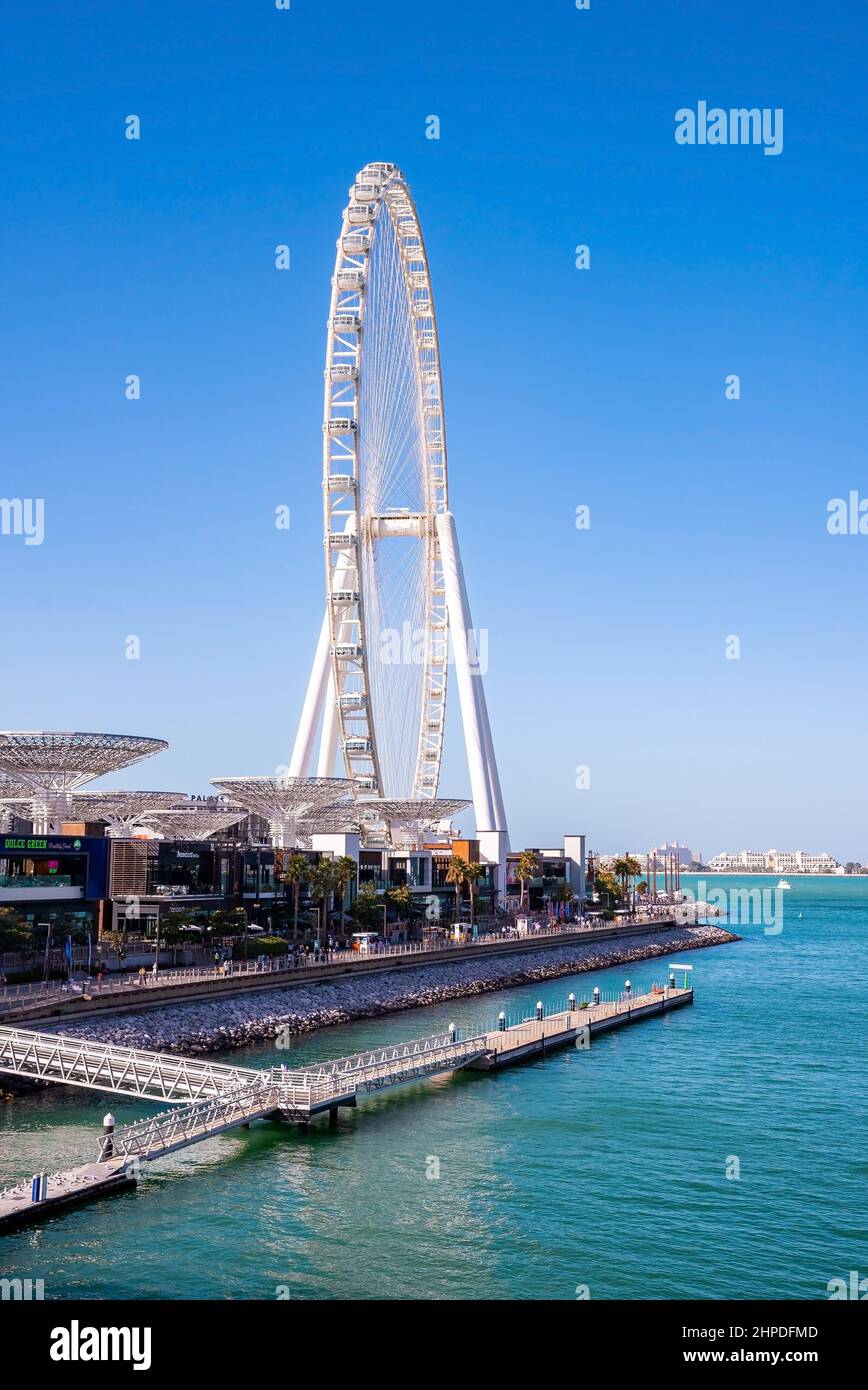 Ain Dubai, das größte Riesenrad der Welt. Stockfoto