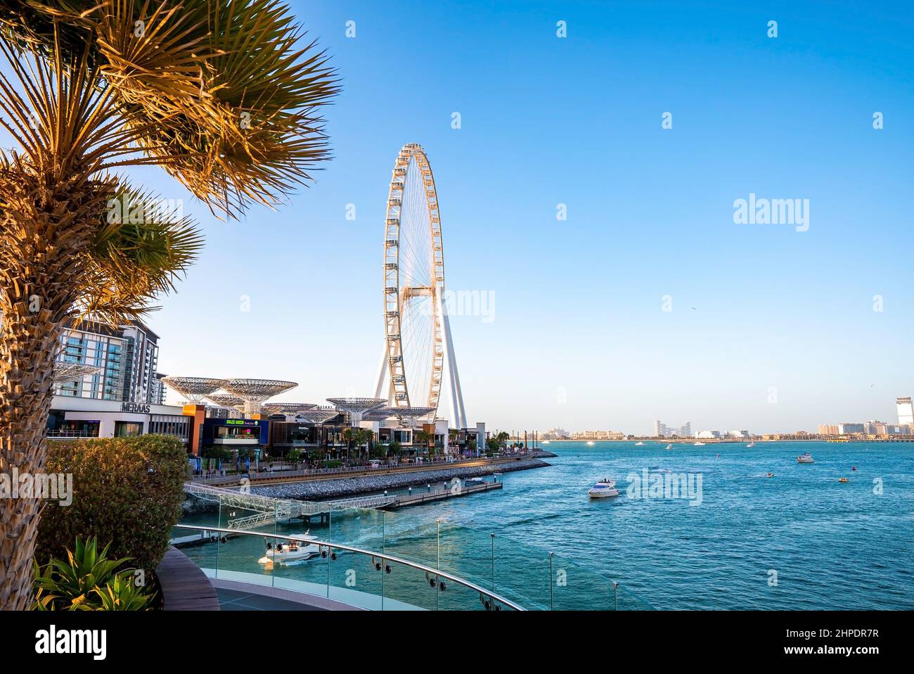 Ain Dubai, das größte Riesenrad der Welt. Stockfoto