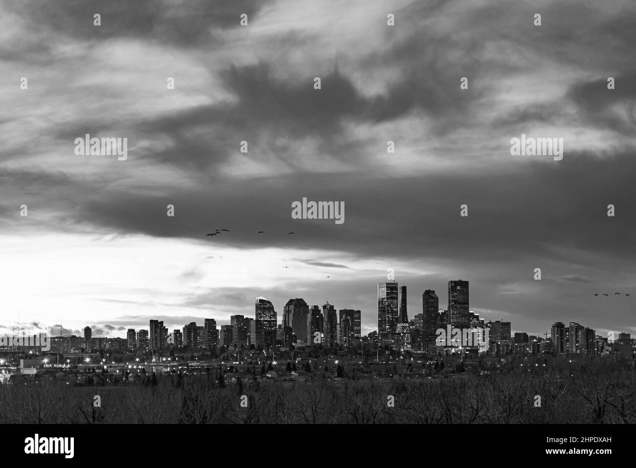 Downtown Business District Calgary Skyline bei Nacht Stockfoto
