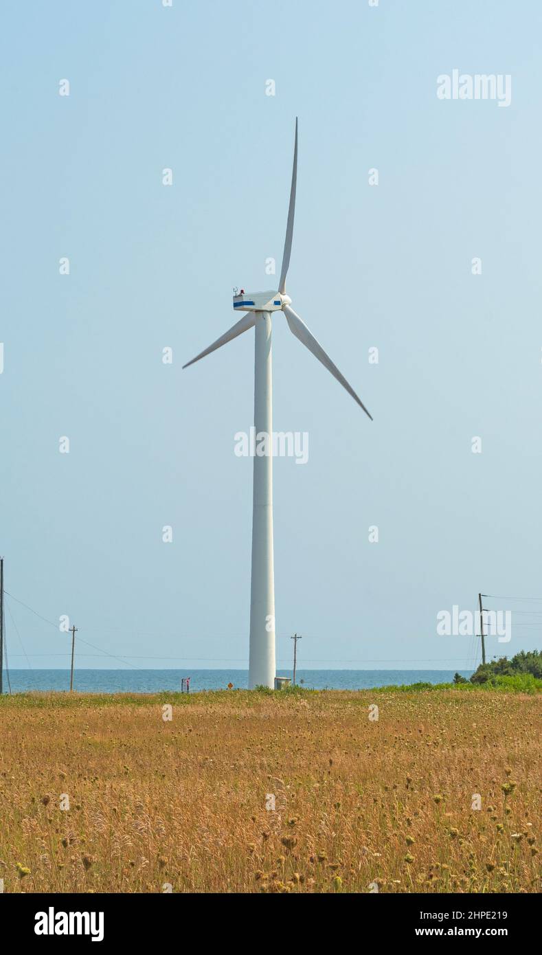 Windturbine auf einer Küstenebene am Nordkap auf der Prince Edward Island in Kanada Stockfoto