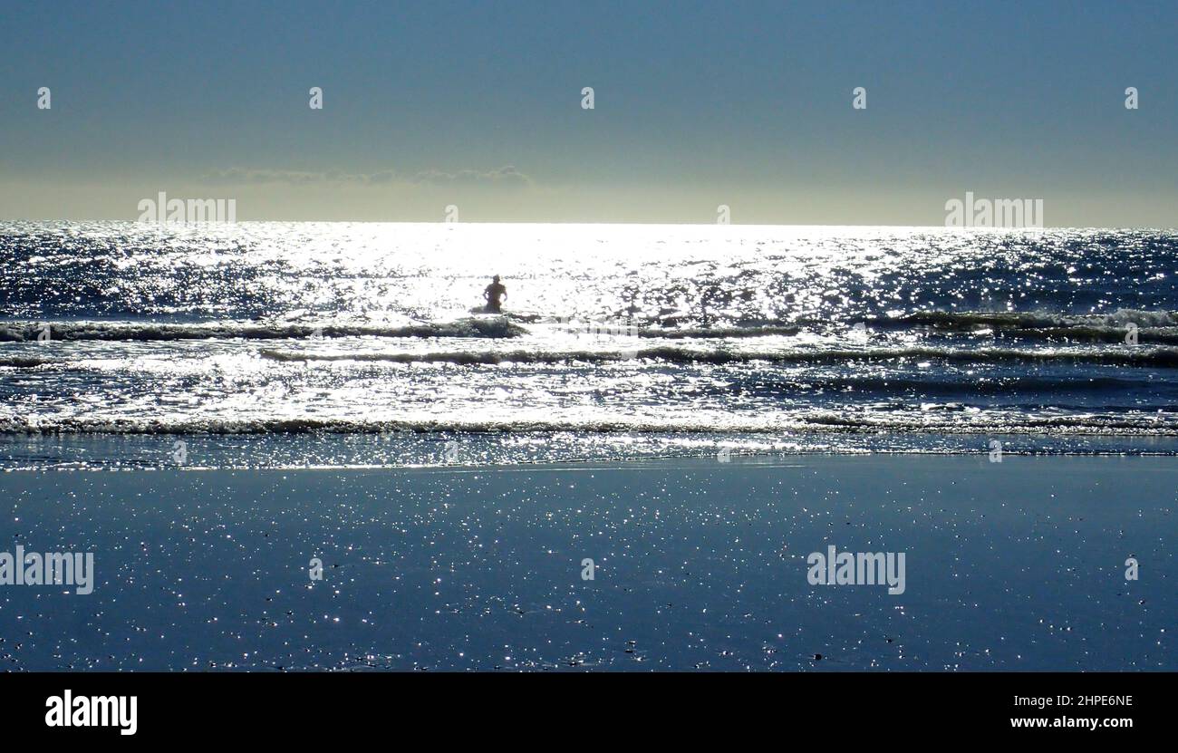 In einer Welt des Blues läuft ein eingeflügelter Schwimmer in das flache, sonnendurchflutete Meer an der Kapiti-Küste in Neuseeland Stockfoto
