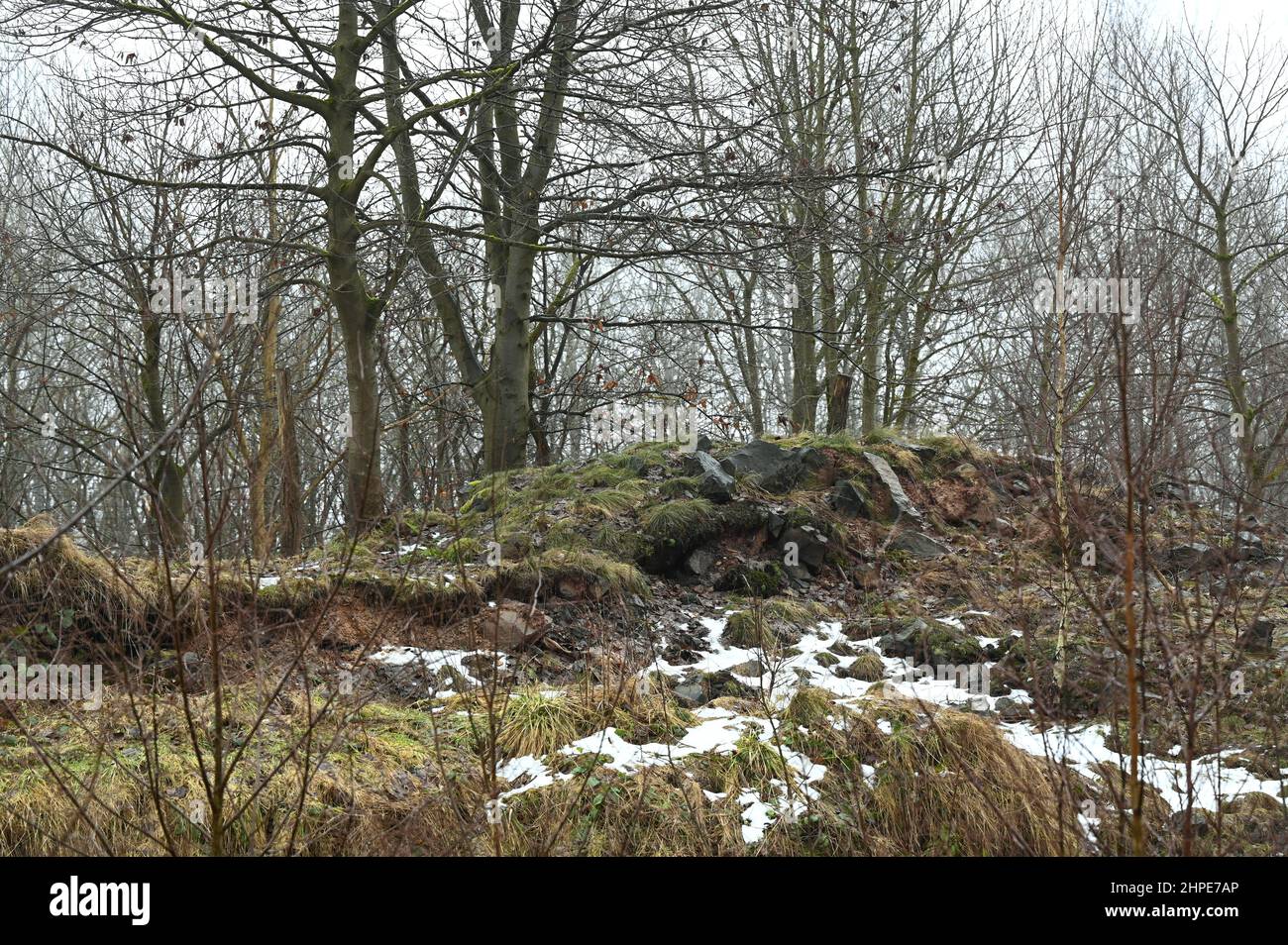 15. Februar 2022, Hessen, hoher Meißner: In der Nähe der Stinksteinmauer des ehemaligen Tagebaubetriebs Kalbe am Osthang der Hohen Meißner haben sich Erdfehler geöffnet. Hier schwelt seit Jahrhunderten ein Nahtbrand. Eine chemische Reaktion verursacht, dass sich die Braunkohle von selbst entzündet und schwelt. Bei bestimmten Wetterbedingungen kann der Geruch von Schwefel kilometerweit entfernt wahrgenommen werden. (Zu dpa 'glühende Kohle in der Hohen Meißner: Nahtfeuer schwelt seit Jahrhunderten') Foto: Uwe Zucchi/dpa Stockfoto