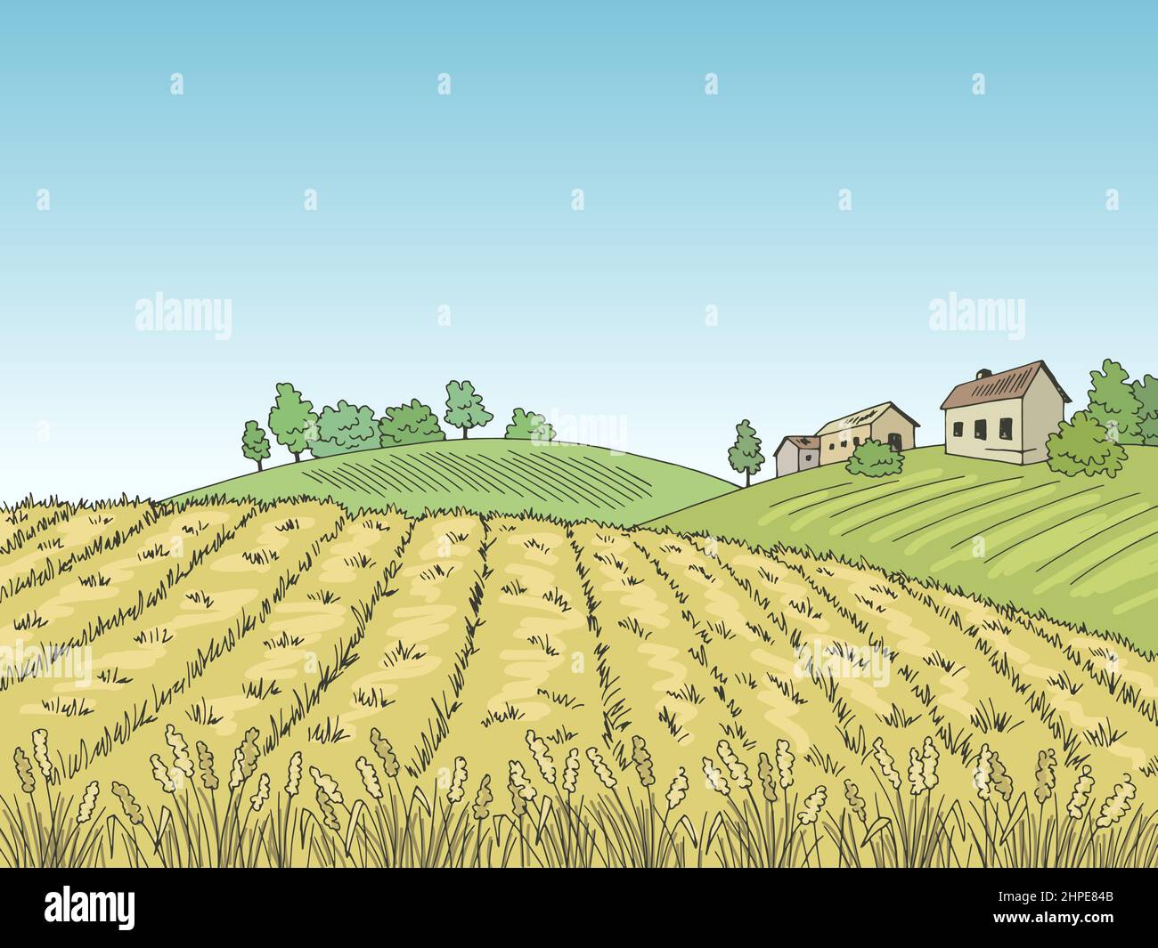 Vektorgrafik Feldgrafik Farbe Landschaft Skizze Illustration Vektor Stock Vektor