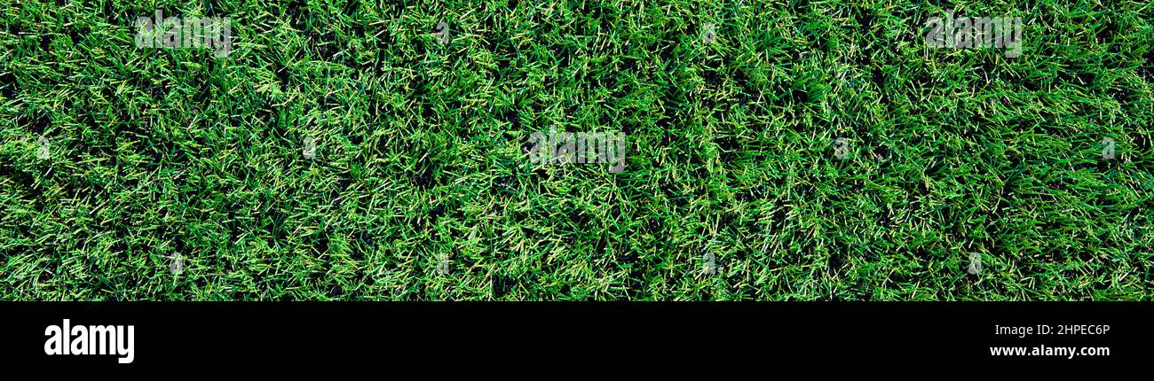 Grünes Gras Textur Hintergrund, Kunstrasen im Stadion, Astroturf für das Spielen von Sportspiel Stockfoto