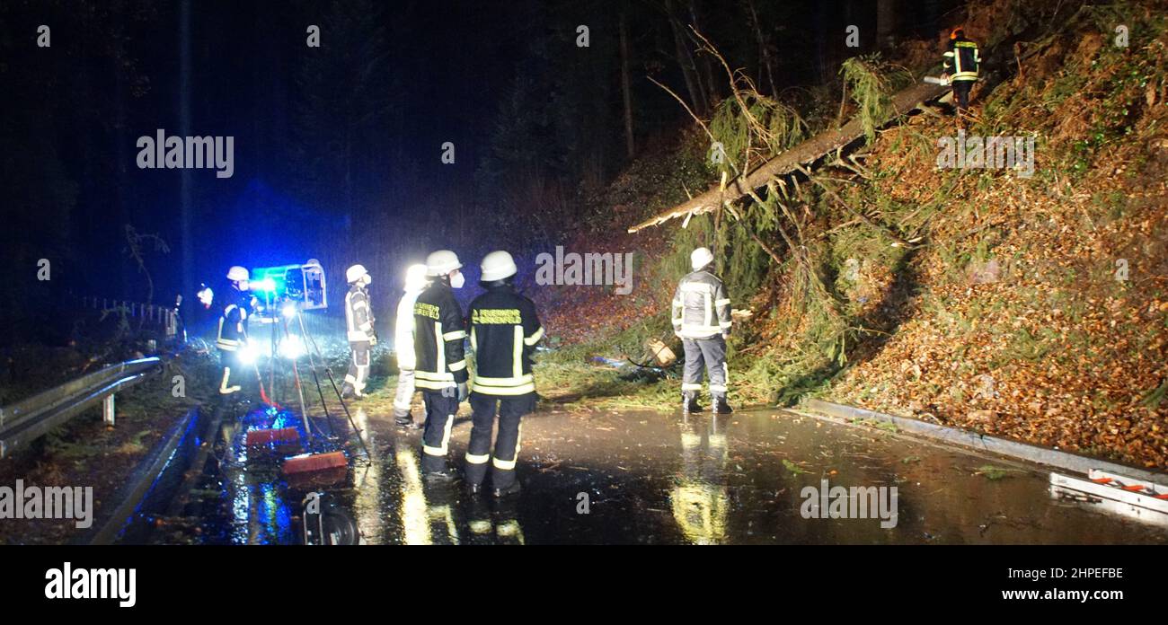 Birkenfeld, Deutschland. 21st. Februar 2022. Die Feuerwehr entfernt einen umgestürzten Baum, der während des Sturms auf eine Straße gefallen ist. Der Sturm 'Antonia' fegt mit hoher Geschwindigkeit durch Baden-Württemberg. Quelle: Waldemar Gress/Einsatz-Report24:/dpa/Alamy Live News Stockfoto