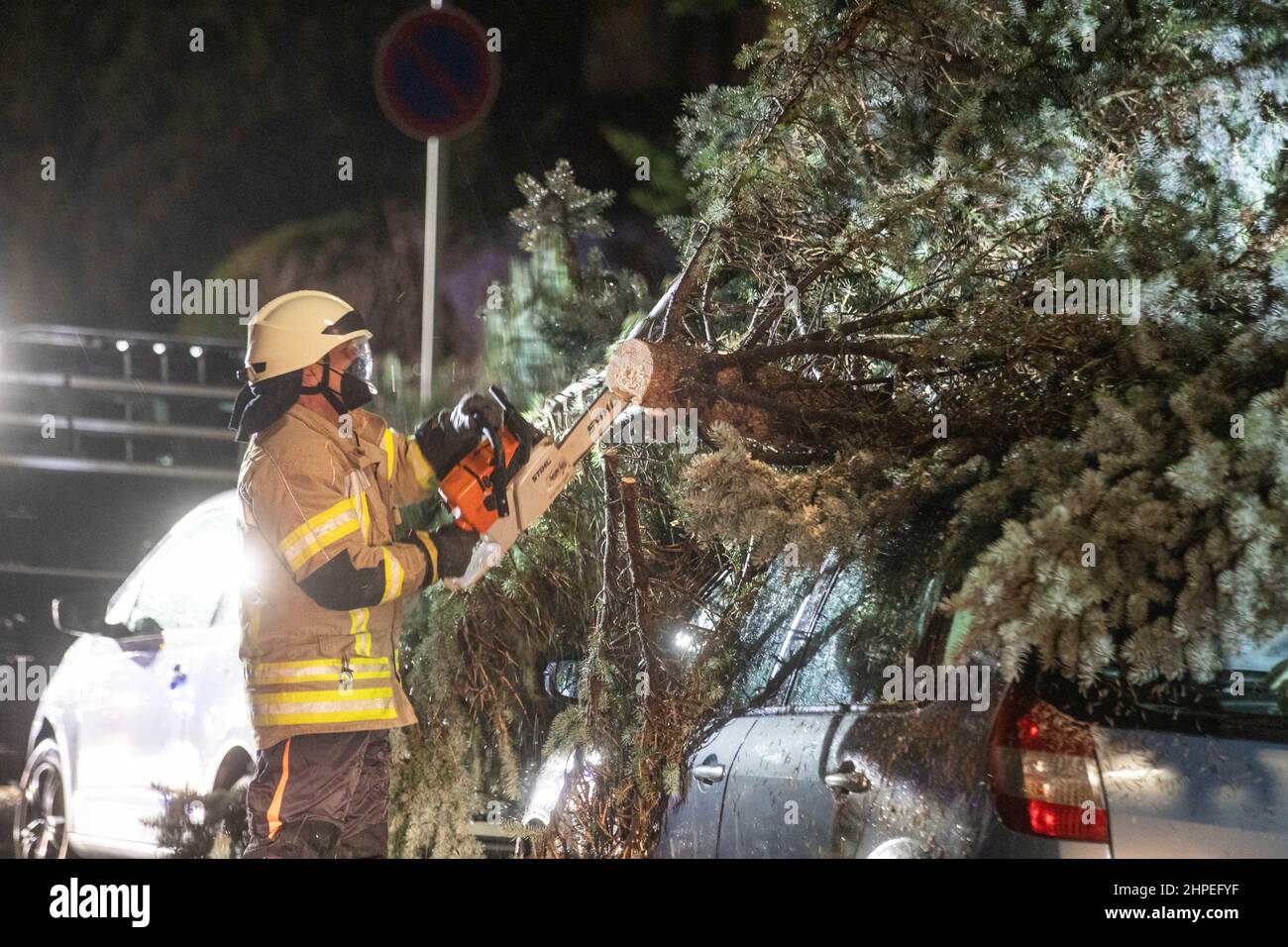 Fellbach, Deutschland. 21st. Februar 2022. Ein Feuerwehrmann sägt einen Baum, der während des Sturms Antonia auf ein Auto fiel. Der Sturm 'Antonia' fegt mit hoher Geschwindigkeit durch Baden-Württemberg. Quelle: Simon Adomat/VMD-Images /dpa/Alamy Live News Stockfoto