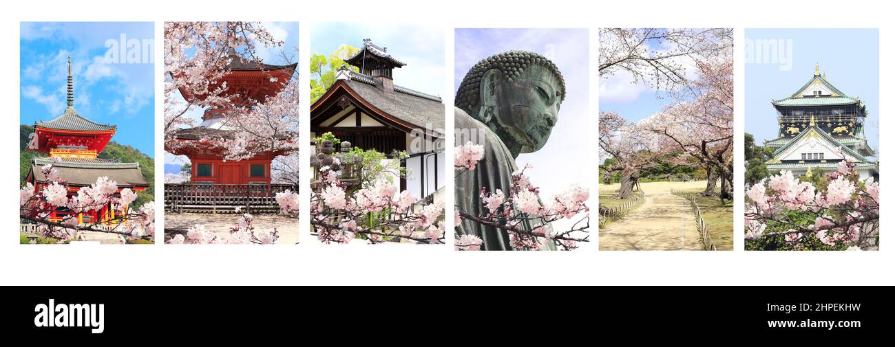 Set von vertikalen Fahnen mit Wahrzeichen von Japan. Burg Osaka, große Buddha-Statue, blühende Sakura-Bäume im Koishikawa Korakuen-Garten, Okayama. Sak Stockfoto