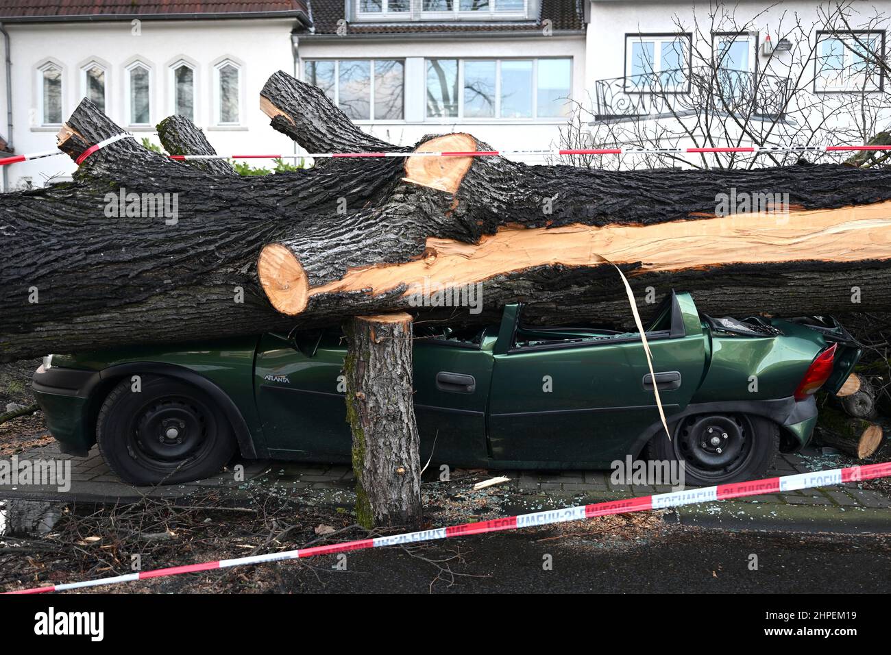 Köln, Deutschland. 21st. Februar 2022. Ein Auto wird von einem umgestürzten Baum auf einer Straße zerstört. In Nordrhein-Westfalen zerstörte der Sturm „Antonia“ Dächer aus Häusern, Autos und einer Oberleitung. Quelle: Federico Gambarini/dpa/Alamy Live News Stockfoto