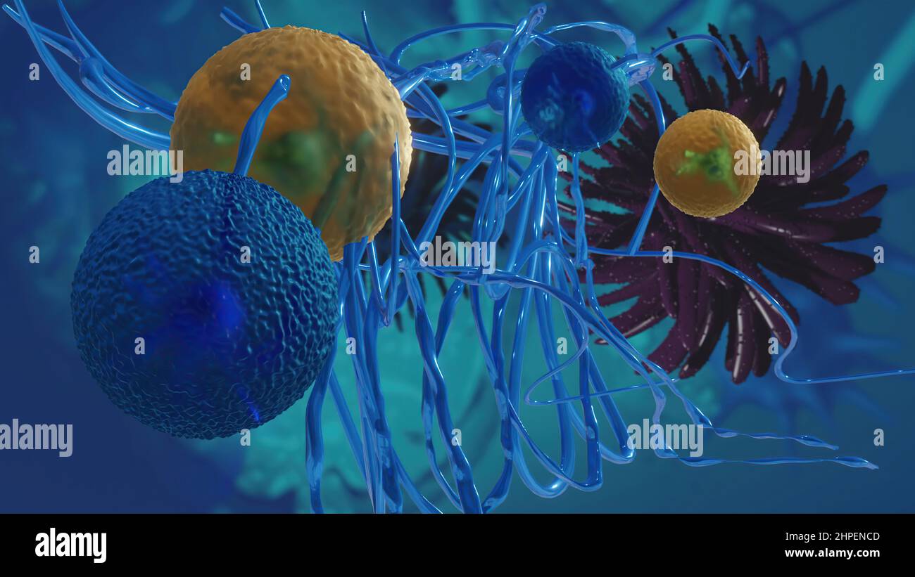 3D Illustration - Flurona, Doppelinfektion von Covid und Grippe. Mutiertes Coronavirus SARS-CoV-2. Stockfoto