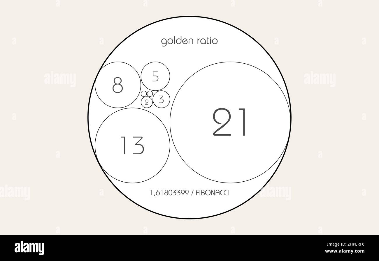Fibonacci-Sequenzkreis. Goldener Schnitt. Geometrische Formen Spirale. Kreise im goldenen Verhältnis. Futuristisches, minimalistisches Modedesign. Logo. Vektor Stock Vektor