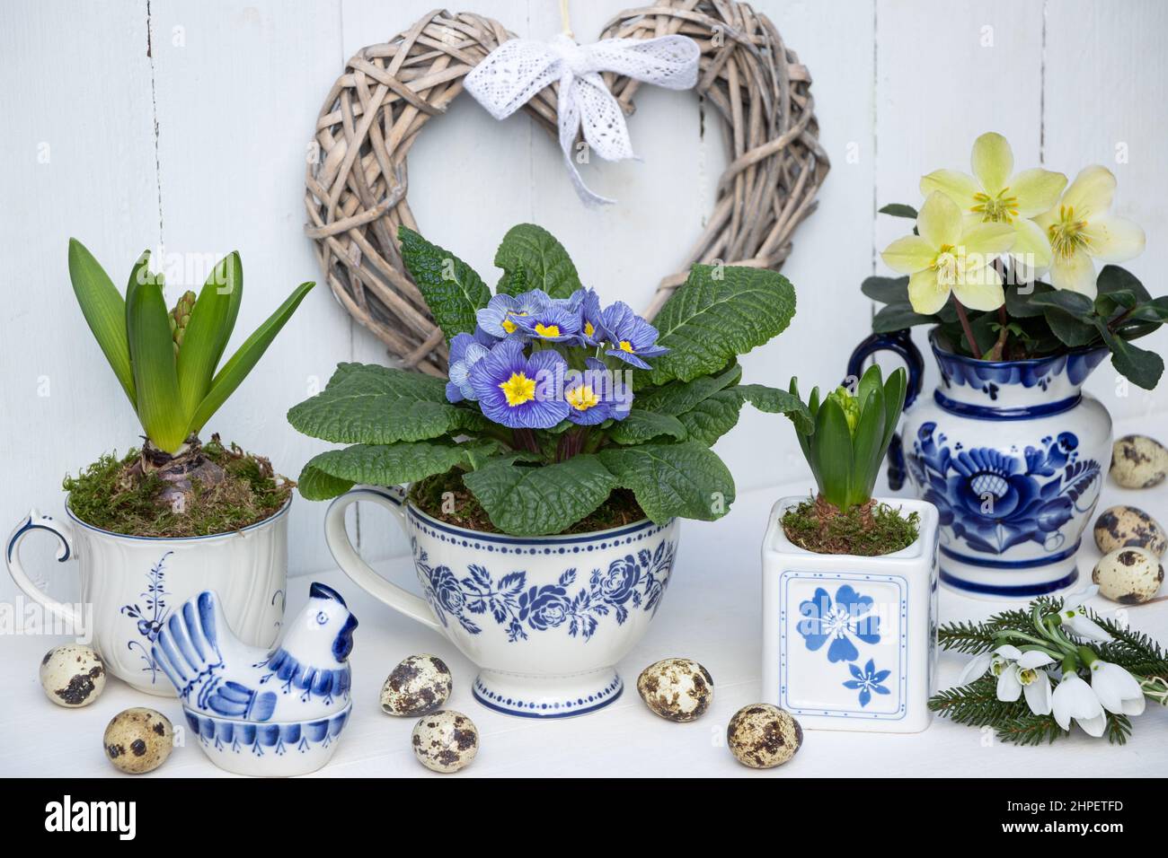Blumenschmuck mit Frühlingsblumen und weiß blauem Porzellan Stockfoto