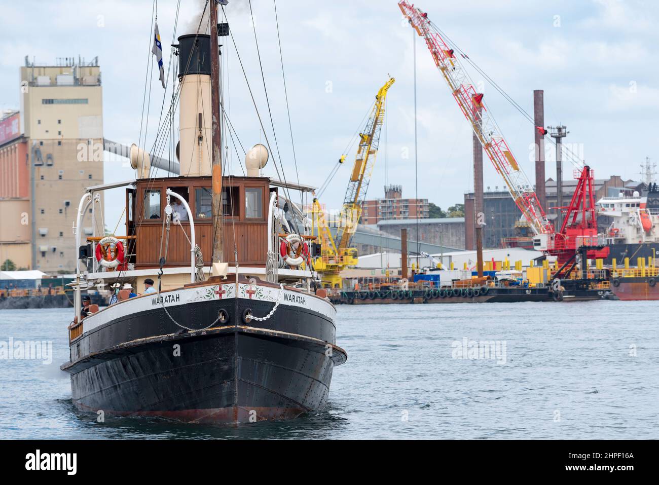 Der kohlebefeuerte Dampfschlepper Waratah aus dem Jahr 1902 macht seinen Weg von seiner Heimat mit der Sydney Heritage Fleet in Roselle Bay nach Pyrmont im Hafen von Sydney Stockfoto