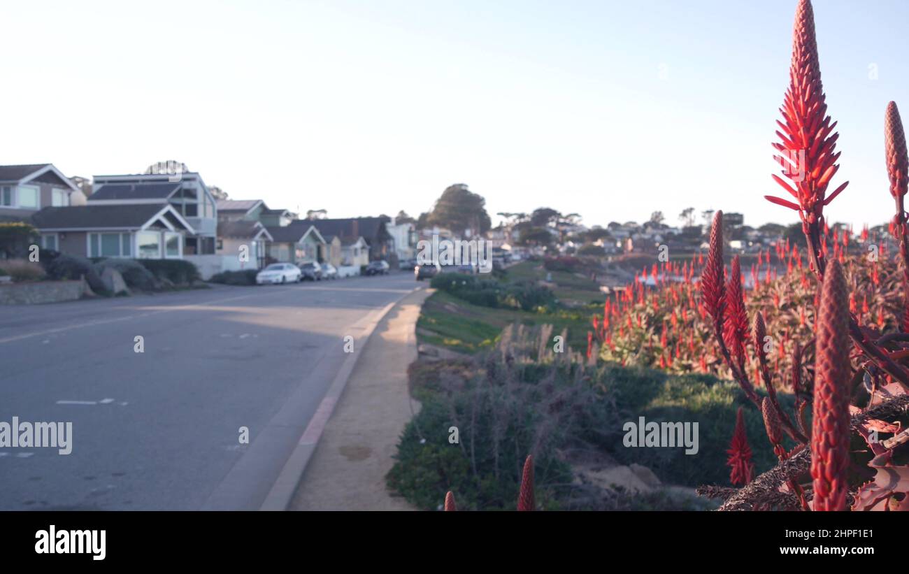 Monterey Ocean Beach, 17 Meilen Fahrt, kalifornische Küste USA. Pacific Grove Strandpromenade, Häuser am Wasser, Architektur von Gebäuden. Autos auf der Straße, rote Aloe-Blüte, Küstenflora. Stockfoto