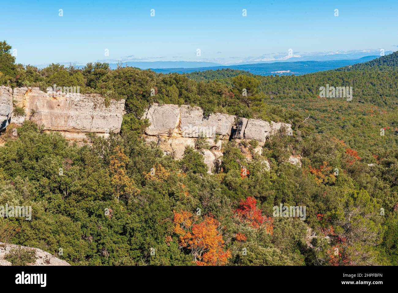 Foret en Automne, Mazaugues, Plans D'aups Var France Stockfoto