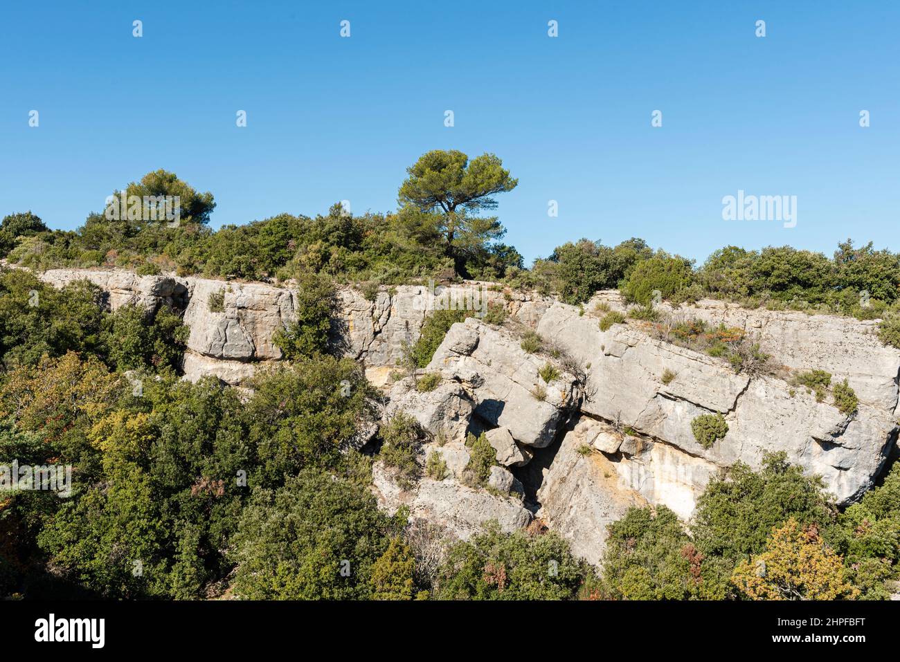 Foret en Automne, Mazaugues, Plans D'aups Var France Stockfoto