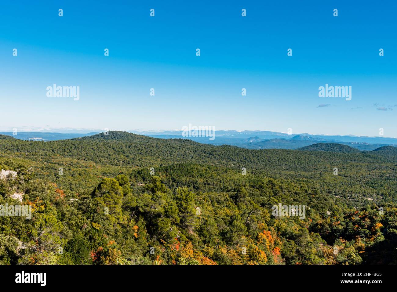 Foret en Automne, Mazaugues, Plans D'aups Var France Stockfoto
