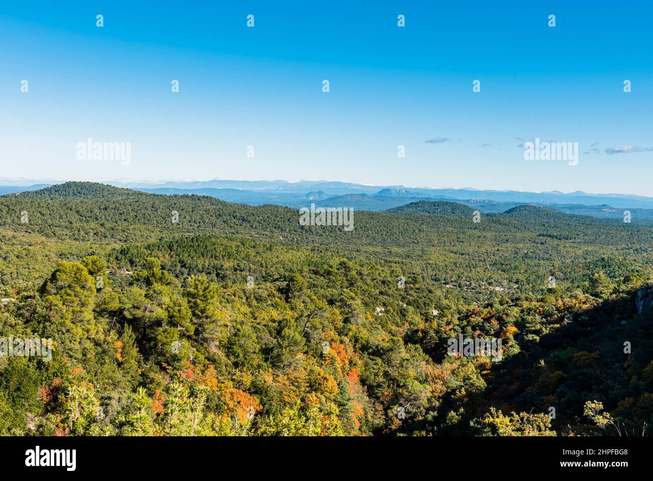 Foret en Automne, Mazaugues, Plans D'aups Var France Stockfoto