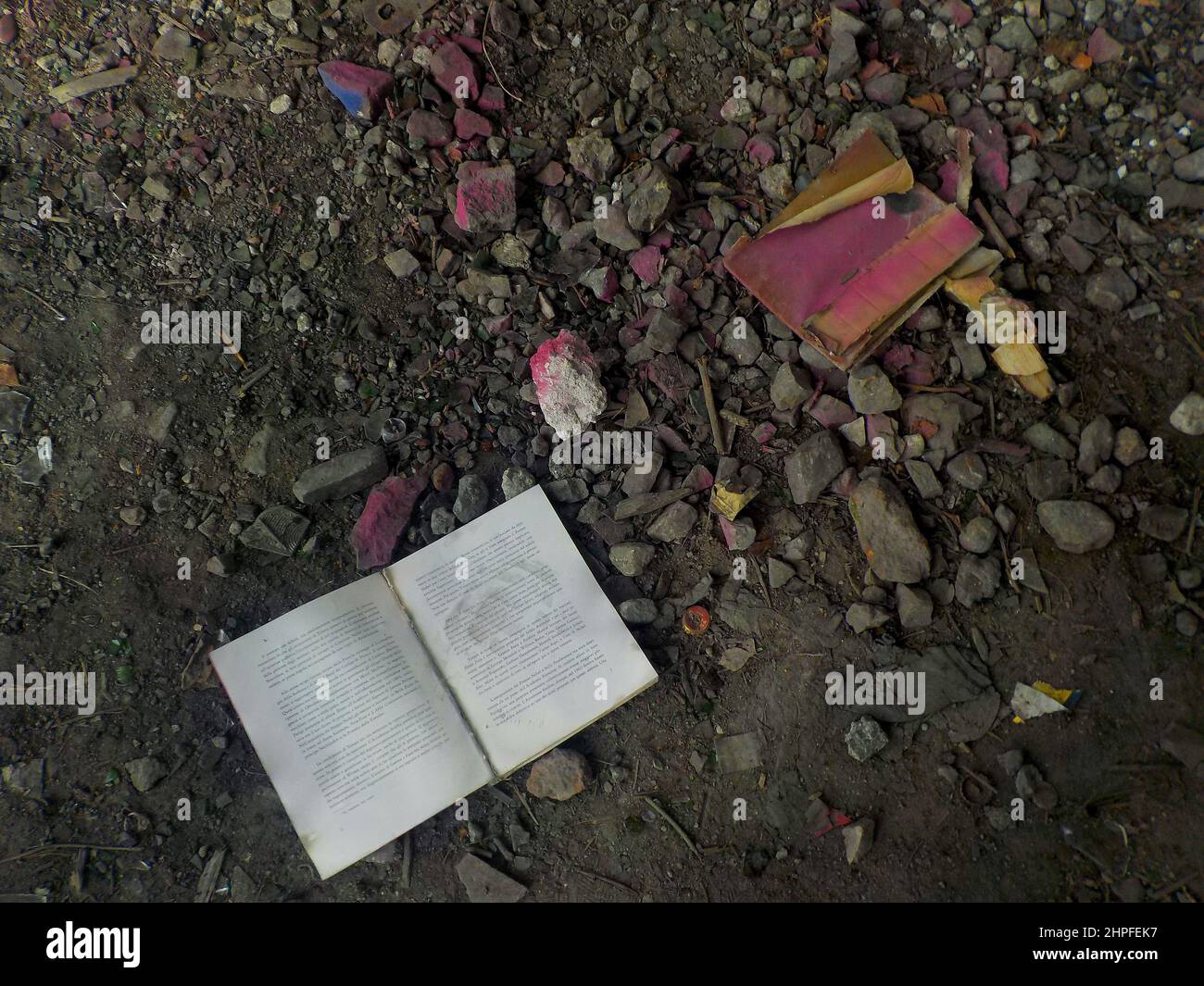 Bücher, die auf dem Boden abgelegt wurden. Rosafarbene Steine. Zerfall. Speicherplatz kopieren. Stockfoto