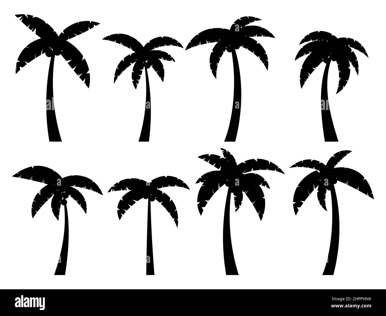 Schwarze Palmen auf weißem Hintergrund. Set aus tropischen Palmen Silhouetten für Poster, Banner und Werbeartikel. Sommerzeit. Vektorillust Stock Vektor