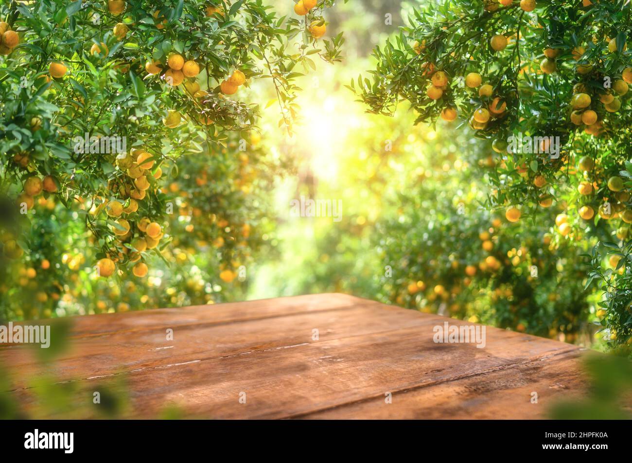 Leerer Holztisch mit freiem Platz über orangefarbenen Bäumen, orangefarbenem Feldhintergrund. Für die Montage der Produktanzeige Stockfoto