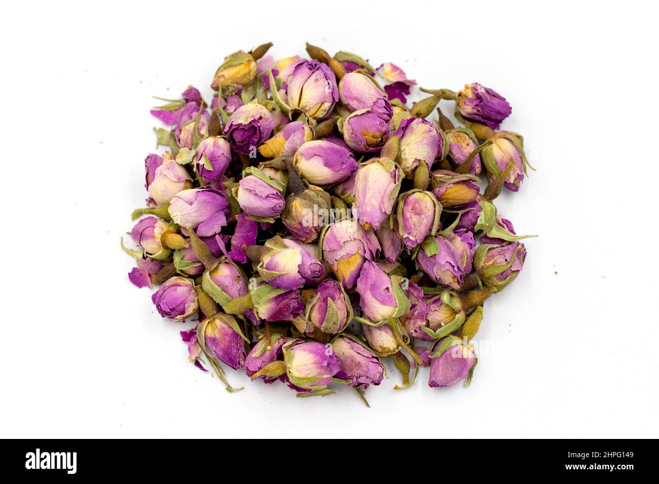 Bud Rose Tea isoliert auf weißem Hintergrund. Heilkräutertee. Stockfoto
