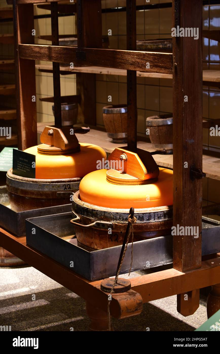 Traditionelle Käseherstellung Ausrüstung auf dem Display. Niederlande Stockfoto