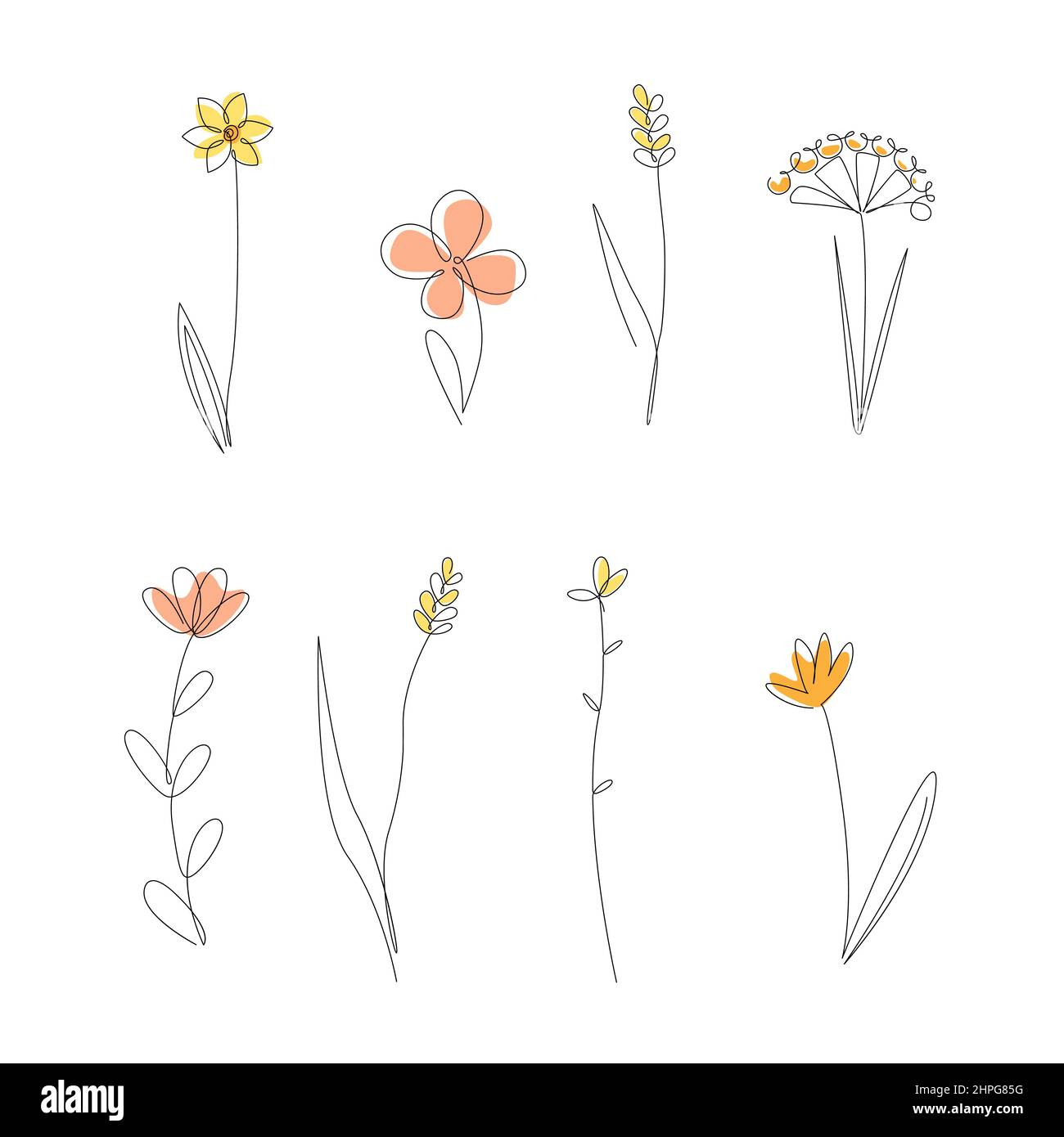 Fortlaufende Linienzeichnung Set Von Wildwiesenpflanzen. Honigblumen isoliert auf weißem Hintergrund, einzeilige Illustration. Vector Set Mit Minimalistischen Prints Stock Vektor