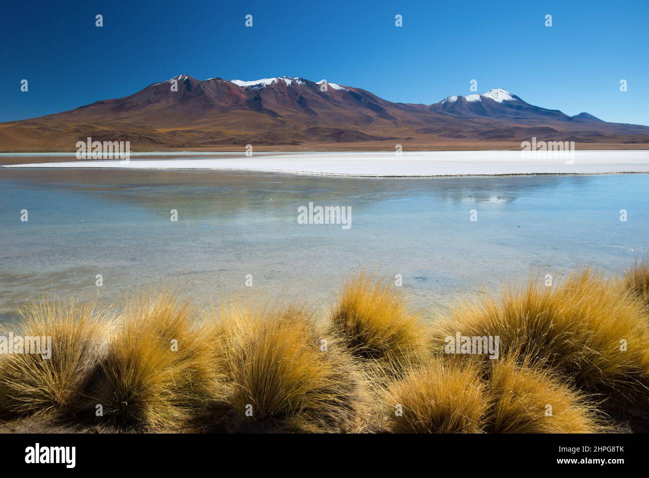 Laguna Hedionda ist einer von neun kleinen Salzseen im Andenaltiplan, Bolivien Stockfoto
