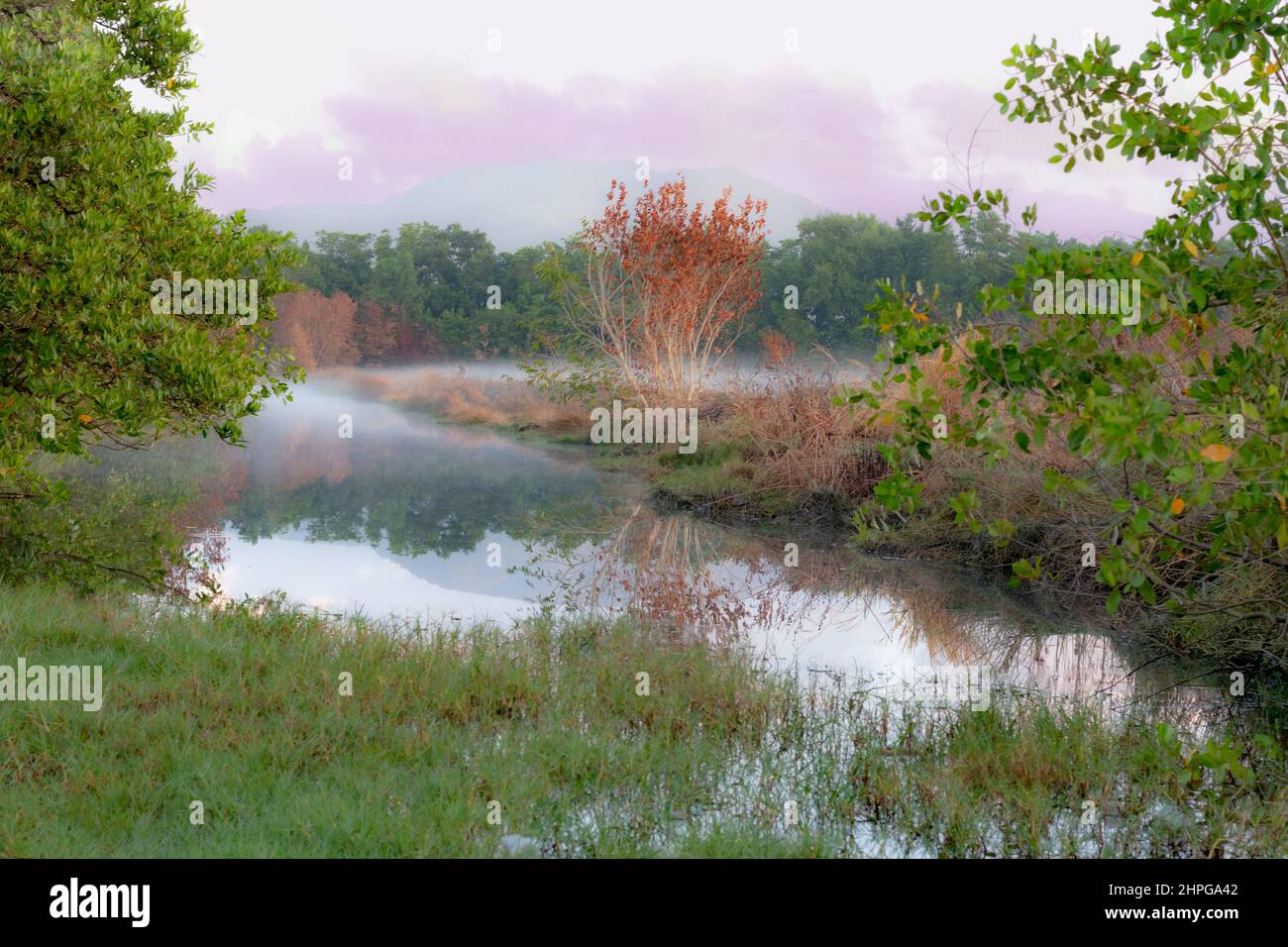 Eine verträumte Landschaft eines ruhigen, nebligen Flusses in einem Feld mit Reflexion. Stockfoto