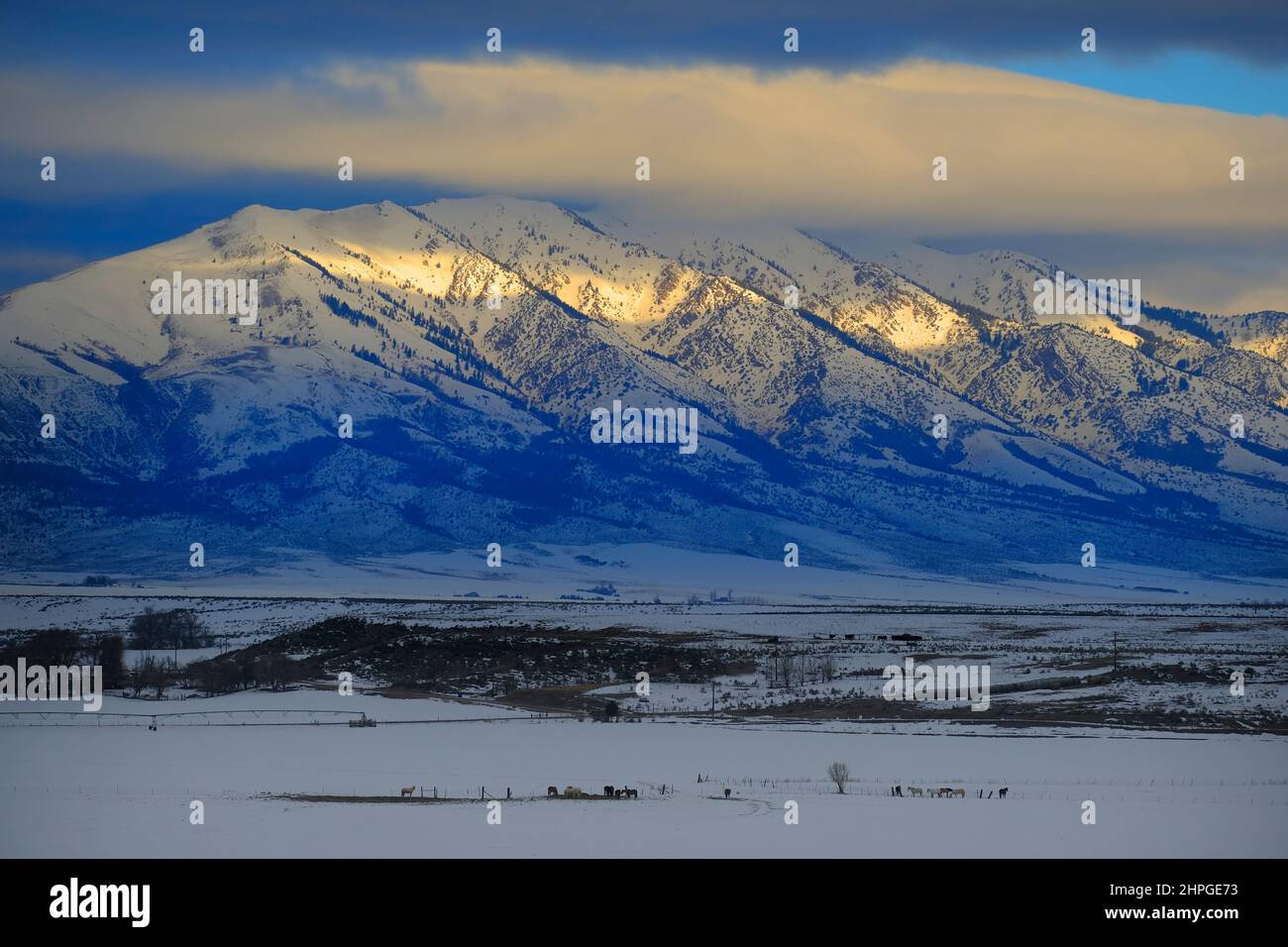 Sonnenaufgang oder Sonnenuntergang Sonnenlicht auf verschneiten Bergen rosa Licht morgens oder abends Stockfoto