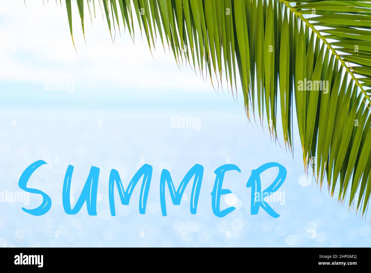 Sommertext auf dem Hintergrund mit Palmblatt und blauem Meer. Vorlage einer Grußkarte, einer Postkarte oder einer Werbung eines Reisebüros. Stockfoto
