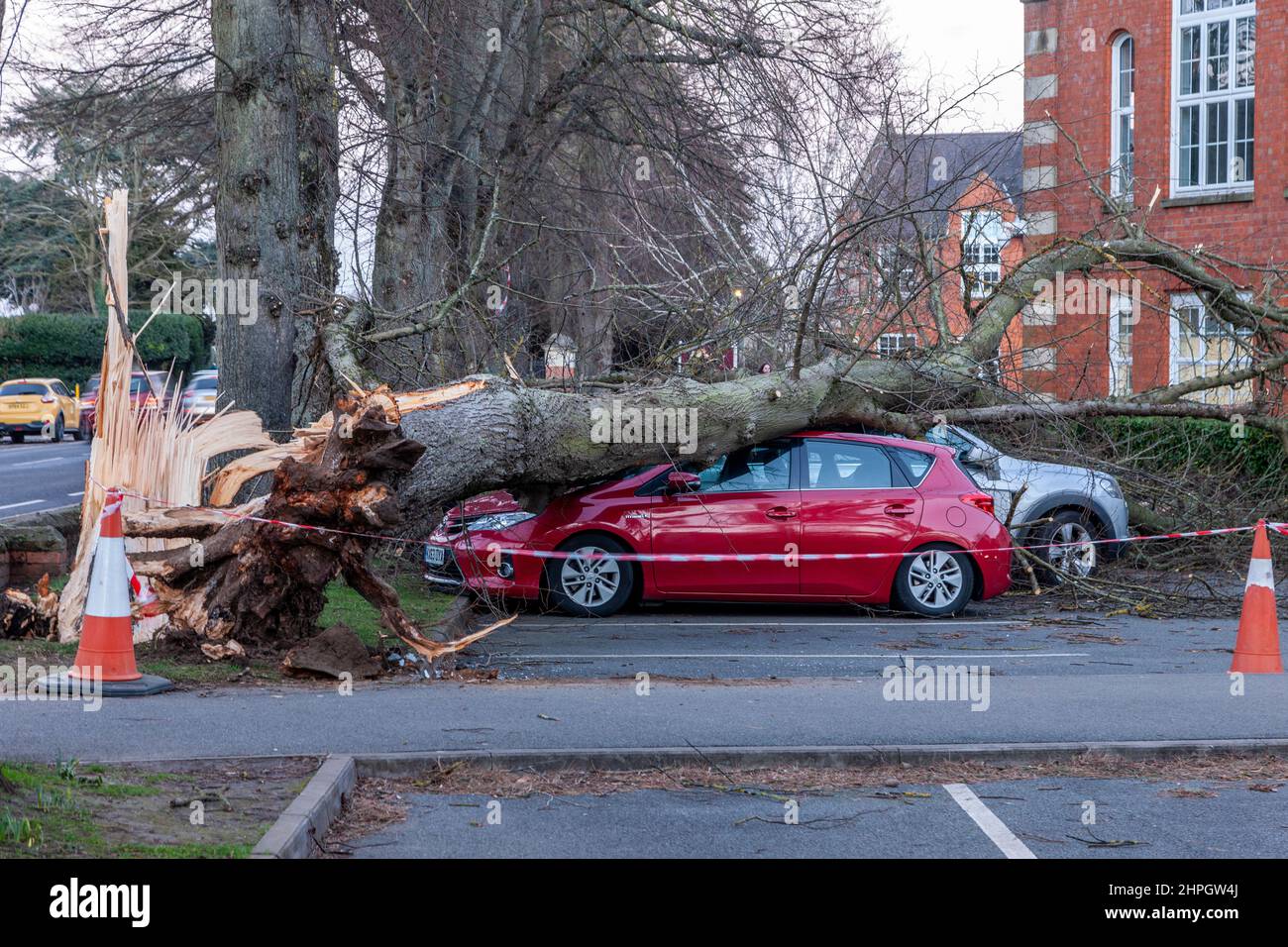 Northampton, Großbritannien. Wetter. 21st. Februar 2022. Starke Winde durch Sturm Franklins bläst einen großen Baum, der 4 Autos in der Northampton School for Boys auf der Billing Road zerschmettert. Kredit: Keith J Smith./Alamy Live Nachrichten. Stockfoto