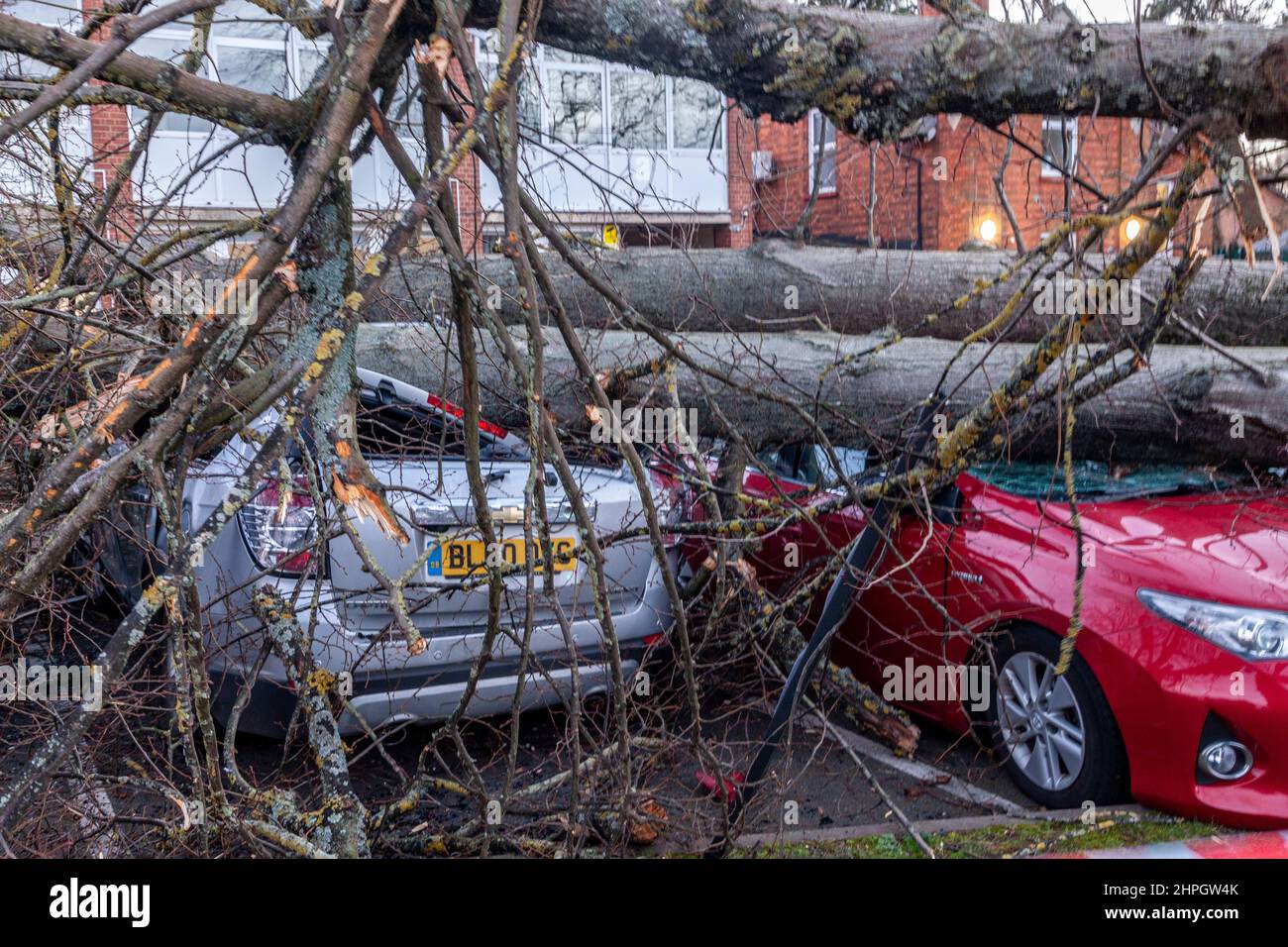 Northampton, Großbritannien. Wetter. 21st. Februar 2022. Starke Winde durch Sturm Franklins bläst einen großen Baum, der 4 Autos in der Northampton School for Boys auf der Billing Road zerschmettert. Kredit: Keith J Smith./Alamy Live Nachrichten. Stockfoto