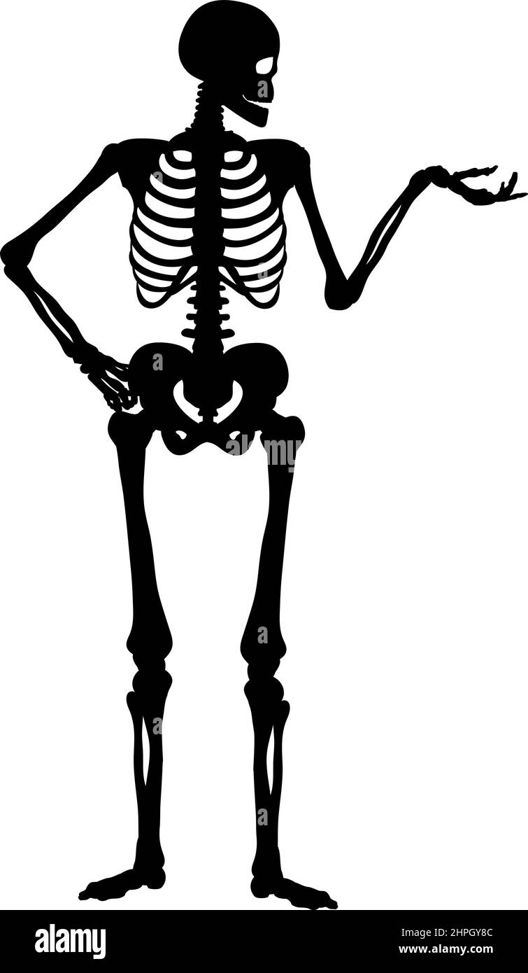 Silhouette menschlichen Skelett zeigen oder vorstellen. Symbol Halloween. Stock Vektor