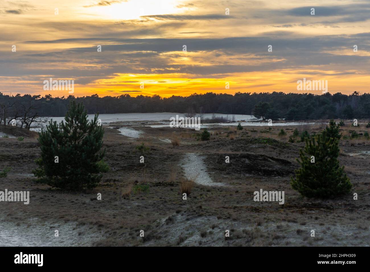 Schöner Sonnenuntergang im niederländischen Nationalpark Loonse en Drunense Duinen, Provinz Nordbrabant Stockfoto