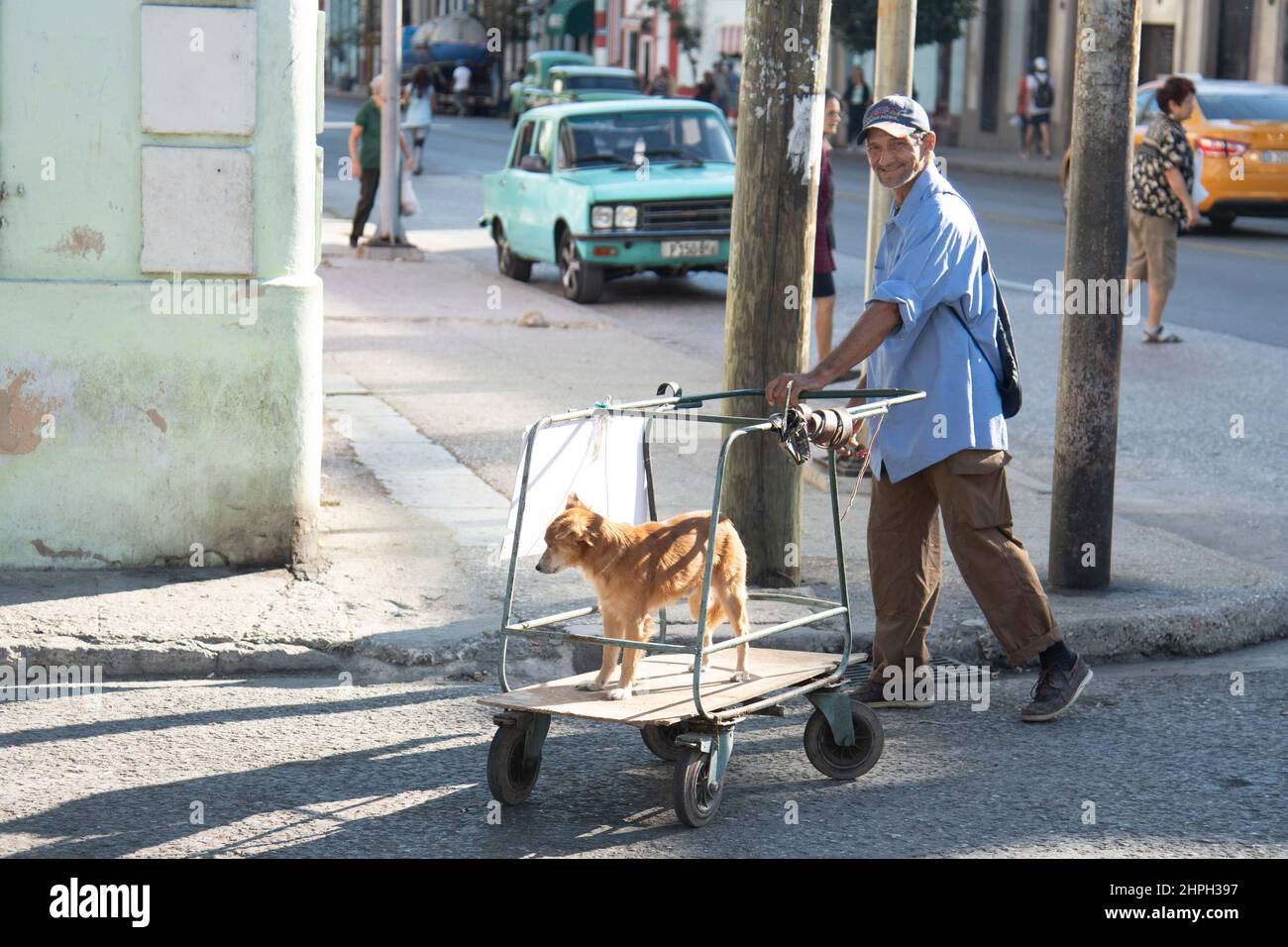 Mann, der die Straße entlang geht und seinen Hund in einem Wagen entlang einer Straße in Havanna, Kuba, trägt. Stockfoto