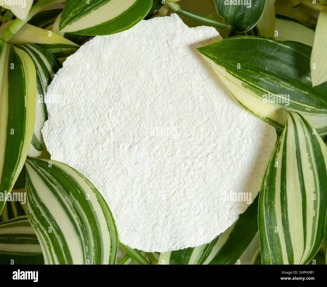 Basteln Sie eine leere Papiernotiz mit den grünen Blättern Stockfoto